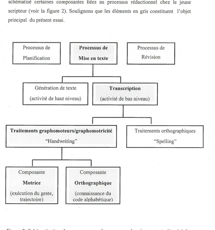 Figure 2. Schématisation des composantes du processus de mise en texte (inspiré de Berninger et Swanson, 1994).