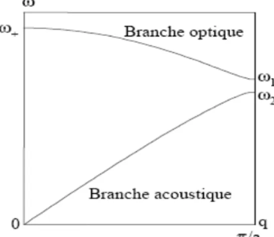 Fig 3.3 : Vibrations 1D transverses selon les branches acoustiques et optiques. 
