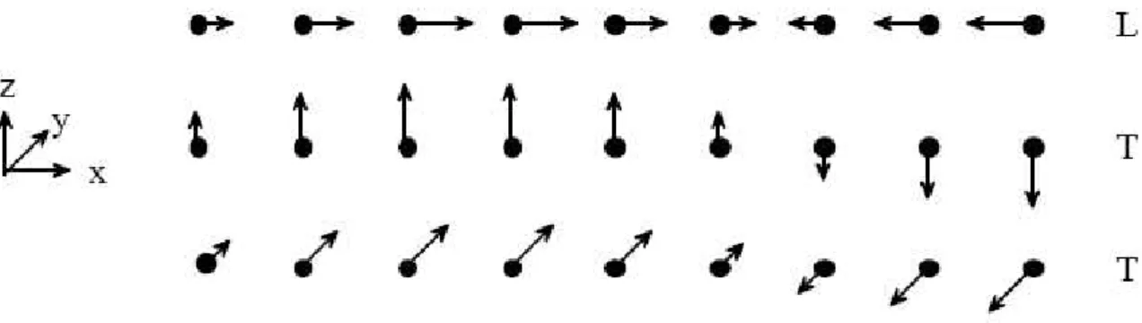 Fig 3.4 : Le mode de vibration longitudinal (L) et les 2 modes transverses (T) d’un réseau 3D