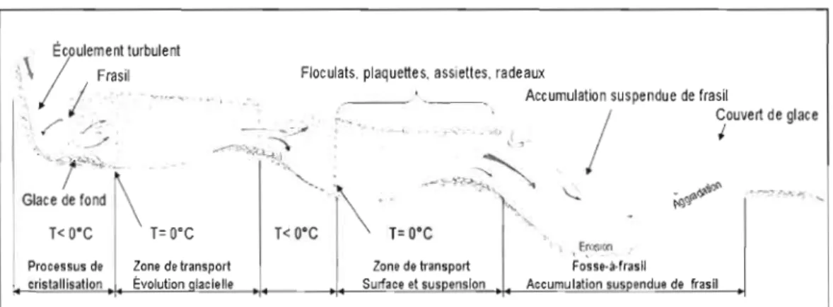 Figure 1.1  Illustration simple  des  interrelations entre  les  formes  du  lit à la  dynamique du  frasil  en  rivière, à l'échelle de  tronçon