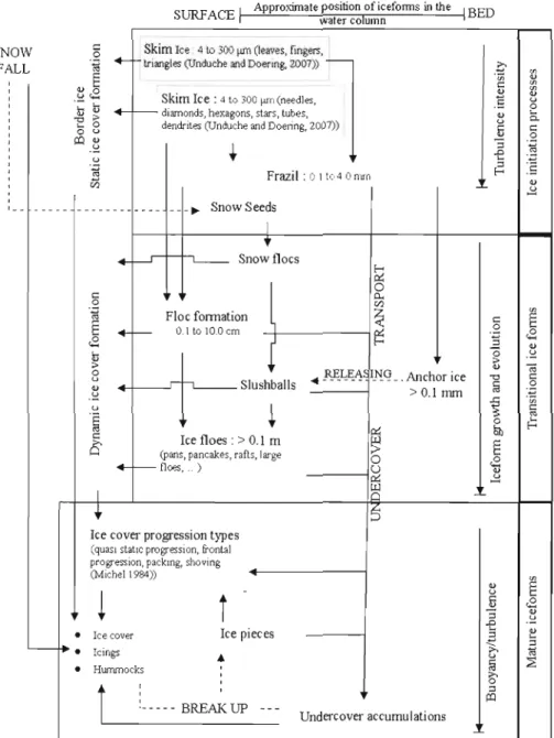 Figure  2.5  Evolution  of iceforms  in  cold  rivers,  from  ice  initiation  to  lce  cover break-up