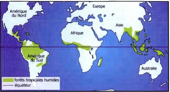 Figure 1.3:  Répartition des  forêts  tropicales humides du  monde 