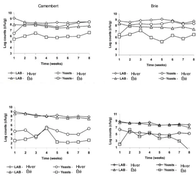 Figure 5. Les comptes de levures totales et de LAB sont présentés en fonction  de la section  du fromage qui  a été prélevé, soit  la surface (graphiques  du haut) ou le centre (graphiques  du  bas) et en fonction  de la saison,  été et hiver