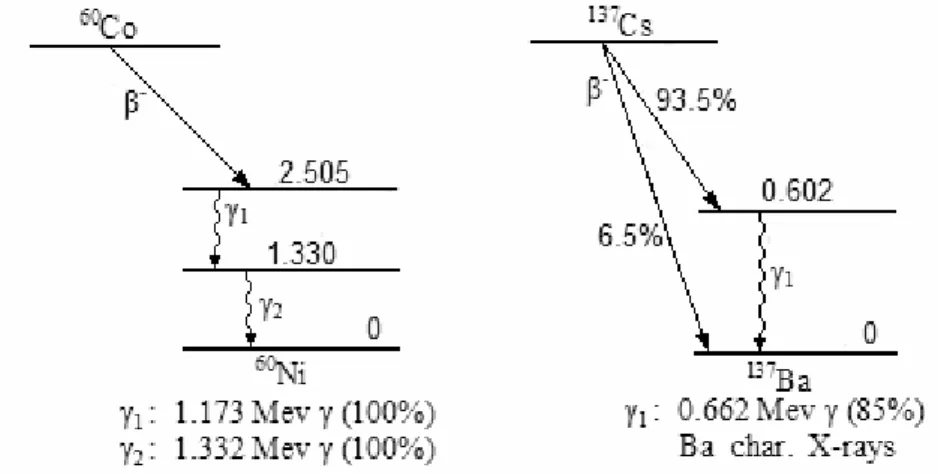 Figure 1.4 Désexcitation gamma du  60 C0 et  137 Cs [7].