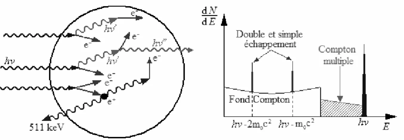 Figure 2.12 Spectre mesuré dans un détecteur de « taille moyenne »            