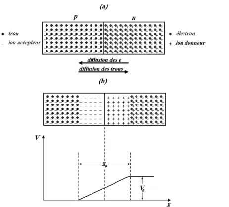 Figure 3.4  (a) Jonction p-n avant l’équilibre             (b) jonction p-n à l’équilibre 