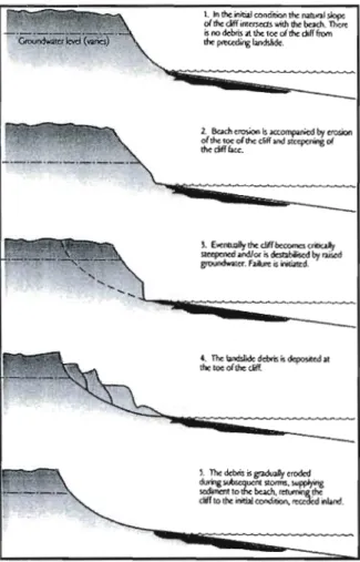Figure  1.1.  Schéma présentant le  processus de recul des  côtes par mouvements de masse  (Source: Lee et al., 2002) 