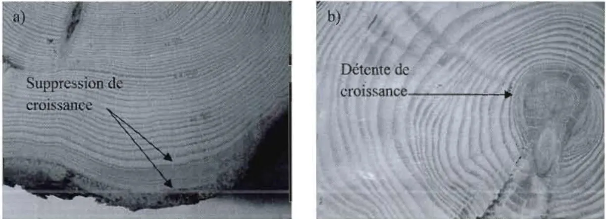 Figure  lA. a)  Suppression de  croissance radiale b)  Détente de croissance radiale 