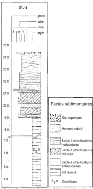 Figure 2.2  Coupe stratigraphique réalisée sur la falaise bordant l'amphithéâtre Il 