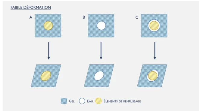 Figure 1.6 : Reproduction schématique d’un gel, soumis à une faible déformation,  rempli avec des éléments de remplissage « actifs » (A) et « inactifs » (B) et des 