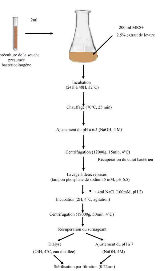 Fig. 6. Protocole d’adsorption-désorption (Yang et al ., 1992).