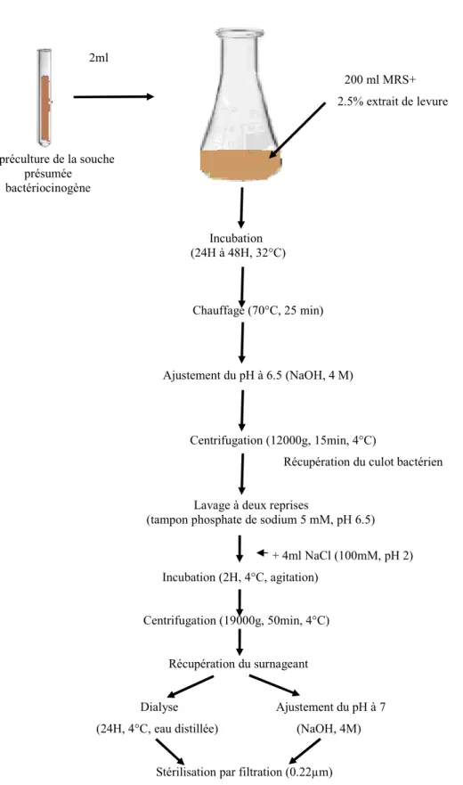 Fig. 6. Protocole d’adsorption-désorption (Yang et al ., 1992).