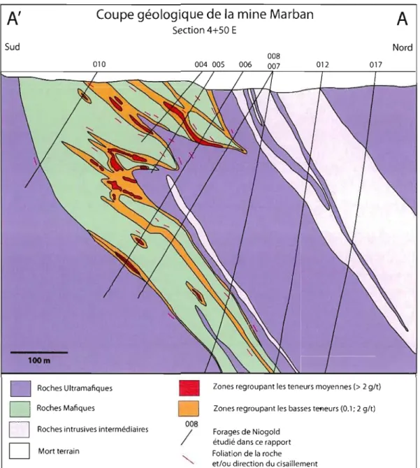 Figure  2.3:  Section  schématique  de  la  répartition  de  la  minéralisation  dans  les  lithologies,  modifiée  de  Niogold,  2009