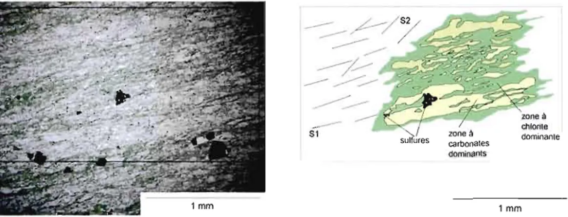 Figure 2.4:  Lame  mince  du  basalte.  On peut voir  les  deux schistosités  que  subit  le  basalte  ainsi  qu'une  forte  altération  en  chlorite,  fréquente  dans  cette  unité