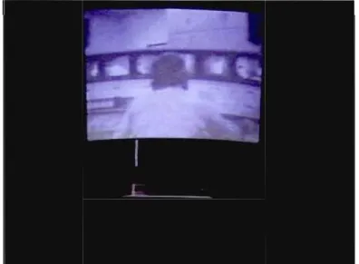 Fig.  1.13  Michael  Klier l  Der Riese,  1984.  Source: 
