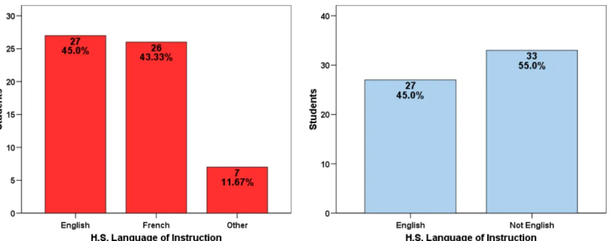 Figure 2: The Two High School Language of Instruction Groupings