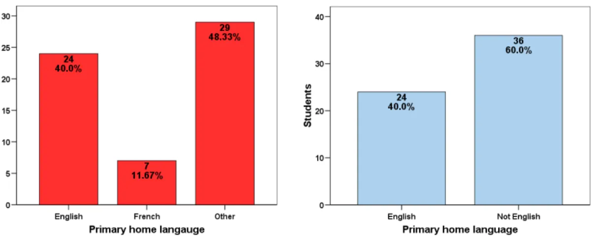 Figure 1: The Two Primary Home Language Groupings