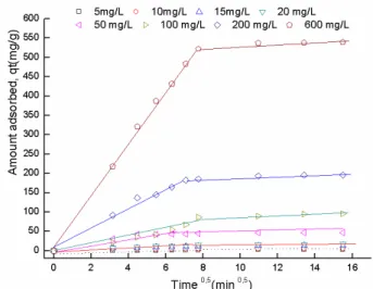 Fig. 8. Kinetic adsorption data for Diclofenac onto the ZnAlFe-C  at concentration (5–600 mg/ L) (pH = 6.7, m = 50 mg, V = 50 mL,  T = 25±1°C).