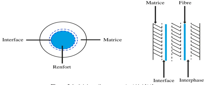 Figure I.6 : Schéma d’un composite idéal [11]. 