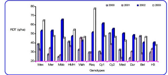 Tableau  –2-  Moyennes des variables mesurées au cours des 4 campagnes: effets moyens année et  génotype 