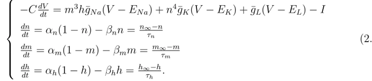 Figure 2.4 – La solution du syst` eme (2.9).