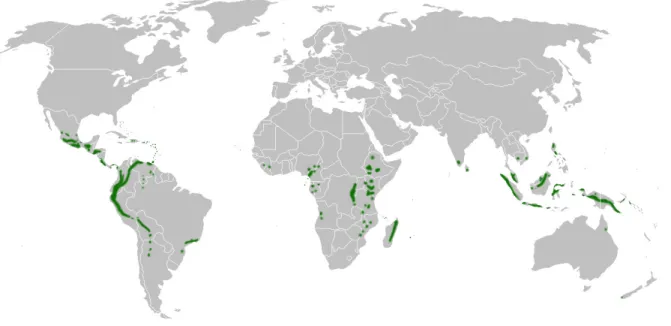 Figure 1.1  Répartition mondiale des forêts de nuages.  