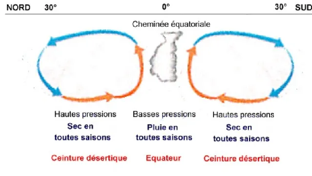 Figure 1.3  Représentation bidimensionnelle de la cellule de Hadley de l’équateur (au  centre) jusqu’au 30 e  parallèles nord et sud