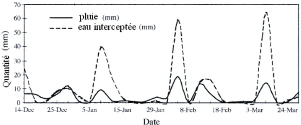 Figure 1.8  Quantité d’eau de pluie et d’eau interceptée par la canopée d’une forêt de  nuages