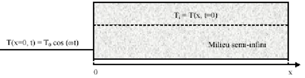 Figure II-4 : température sinusoïdale imposée en surface en régime périodique établi 