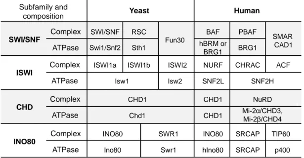 Table 1-3. Chromatin remodeler subfamilies and key members in yeast and human 