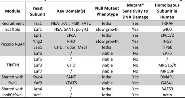 Table 1-4. Saccharomyces cerevisiae NuA4 subunits, modules and their human homologs 