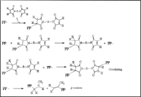 Figure II-7 : Réaction des macroradicaux polypropylène avec le bis D.Graebling  [53]  a  modifié 