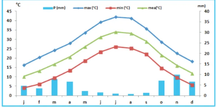 Table 1. Potential and crop evapotranspiration’s (ETP, ETC, mm),  density of flux déficit (DFD, mm j-1) and water requirements for  soil leaching salt (WRL, mm)