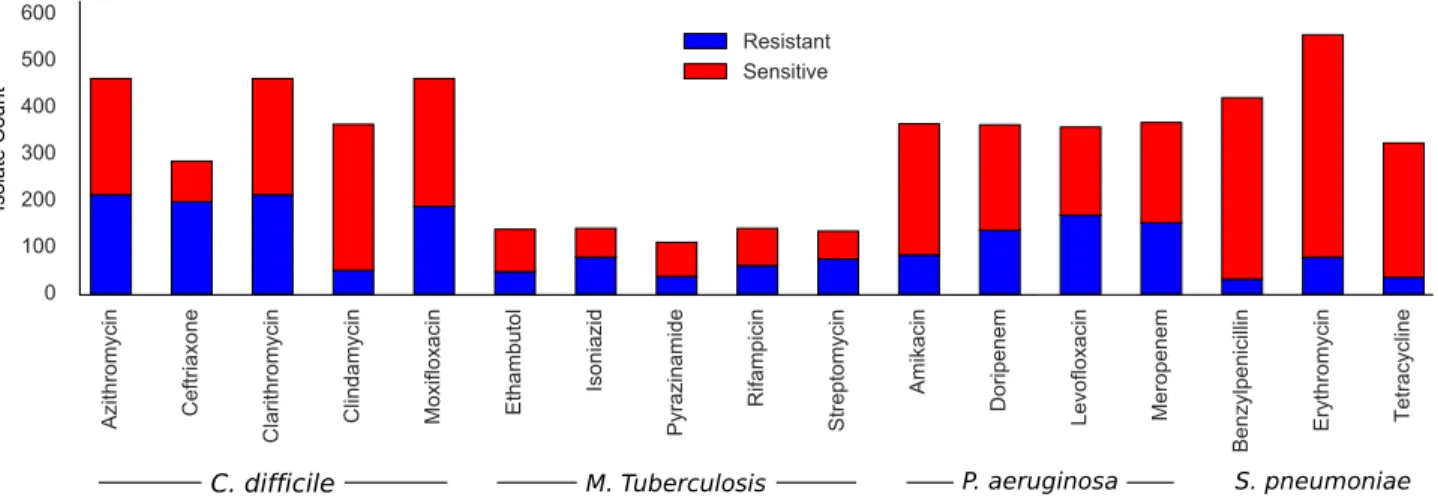Figure 3.1: Distribution of resistant and sensitive isolates in each dataset.