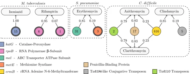 Figure 3.2: Six antibiotic resistance models, which are all disjunctions (logical-OR)