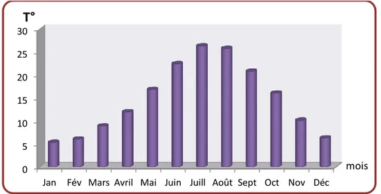 Figure  7.  Variabilité  mensuelle  de  la  température  moyenne  dans  la  région  de  Sétif  sur  une  période de 37 ans (1981-2016) 051015202530