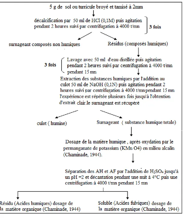 Figure  12.  Schéma  représentatif  de  l’extraction  et  dosage  des  acides  humique  et  fulvique   Duchaufour (1977) et Schnitzer et Kahn (1978) 