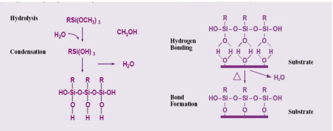 Figure III-6 : Mécanisme d’hydrolyse et de condensation d’un organosilane sur une  surface inorganique [69] 