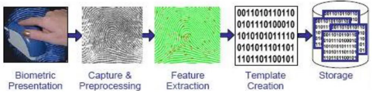 Figure 2.1. Biometric Enrollment Process [2.3]. 