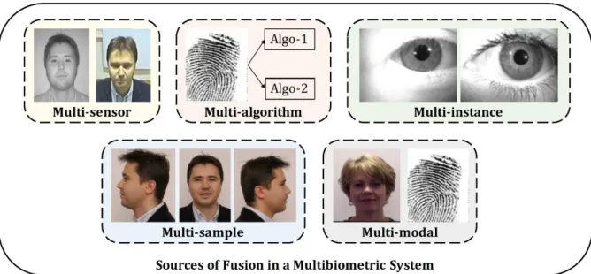 Figure 2.3. Different sources of information that can be exploited by a multibiometric system