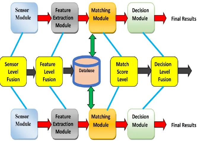 Figure 3.1. The different Levels of fusion. 