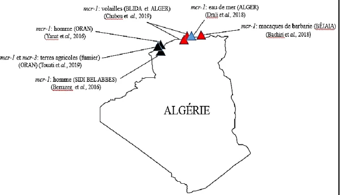 Figure 9. Mécanismes de résistance à la colistine décrits chez E. coli en Algérie   (Nabti et al., 2019).