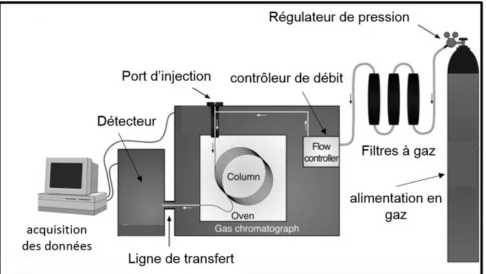 Figure 13. Un chromatographe en phase gazeuse et ses principaux composants   (Stauffer et al., 2008)