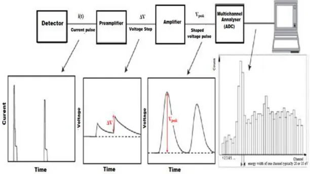 Figure I-12: schéma de l’électronique utilisée pour l’analyse du signal  I.4.2  Bilan sur l'instrumentation d'une chaine de mesure 