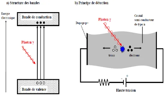 Fig. II.1: Principe du semi-conducteur : structure des bandes et fonctionnement. 