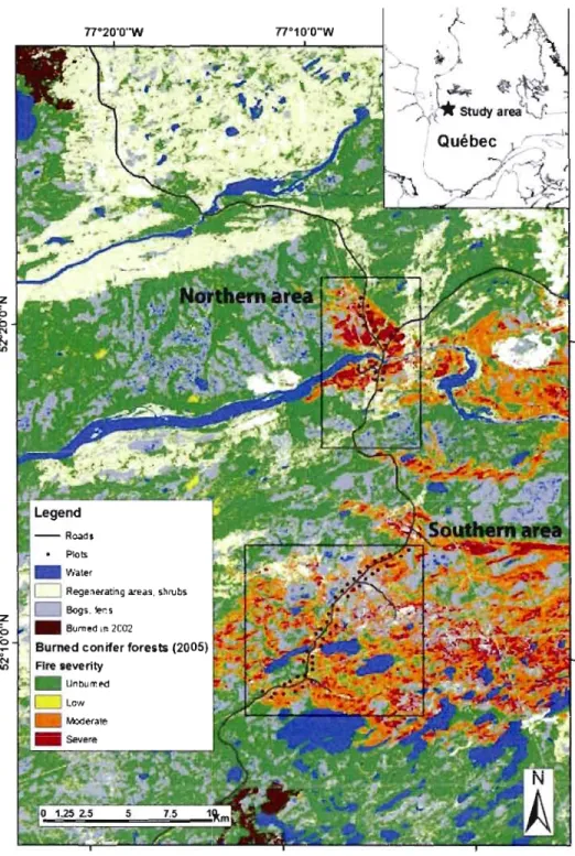 Figure  1.1.  Study area  and  distribution  of sampling sites with  respect  to  tire  severity in  the  2005  bumed  coniferous  forests  in  Northem  Quebec