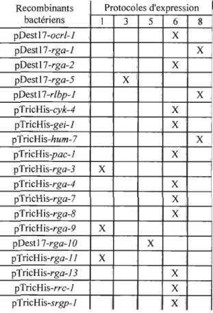 Tableau 2.1  Protocoles  d'expression  optimum  à  utiliser  pour  l'expression  de  chaque  protéine recombinante bactérienne des GAP-His 6 