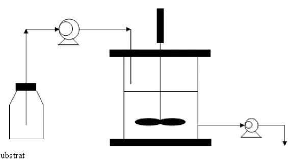 Figure 1.4  Fermenteur en  continu (OU CHEMOSTAT) 