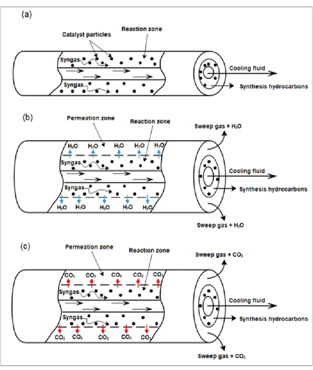 Figure II.1: Schematic diagram of FT membrane reactor, (a): Conventional reactor  (CR), (b): Membrane reactor for water removal (MRW), (c): Membrane reactor for CO 2