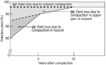 Fig. 3. Effet de la compaction sur les rendements (Duiker, 2004). 